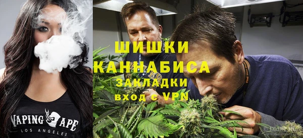 дурь Алзамай
