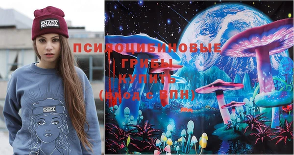 Альфа ПВП Алексин