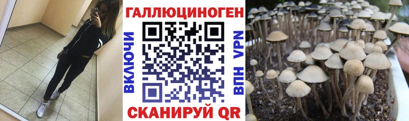 Псилоцибиновые грибы мухоморы ОМГ ОМГ рабочий сайт Кореновск закладки