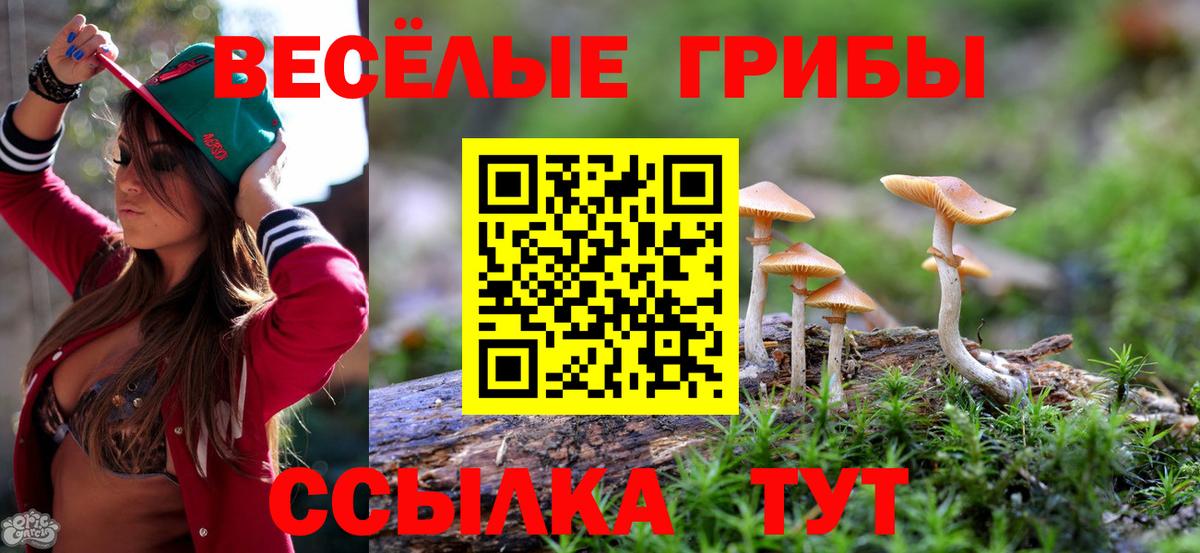 Галлюциногенные грибы Psilocybine cubensis  Галлюциногенные грибы мухоморы  Кореновск  Вход с VPN 